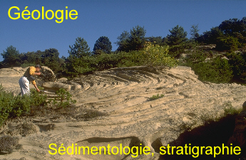 diastrata-géologie, sédimentologie, stratigraphie